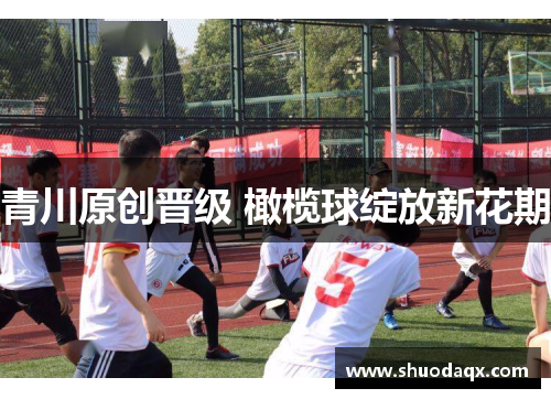 青川原创晋级 橄榄球绽放新花期